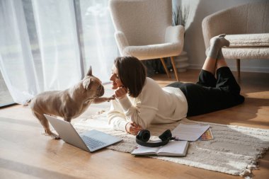 Şirin pug sahibine bakıyor. Evde dizüstü bilgisayarı olan genç bir kadın..