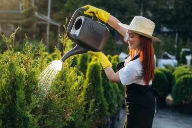 Plastikten yapılmış siyah sulama kutusu. Genç kızıl saçlı kadın bahçeyle ilgileniyor..