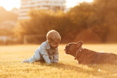 Güneş ışığıyla aydınlatılmış. Sahada köpekle sevimli küçük bir çocuk var..