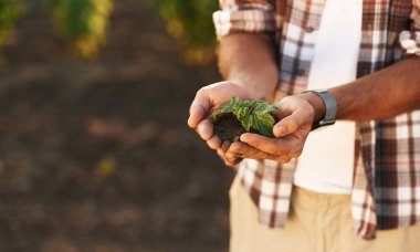 Bitkiyi ellerindeki toprakta gösteriyor. Çiftçi tarım alanında..
