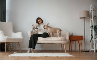 Eğitim süreci, ikramlar. Genç kadın köpeğiyle evde..