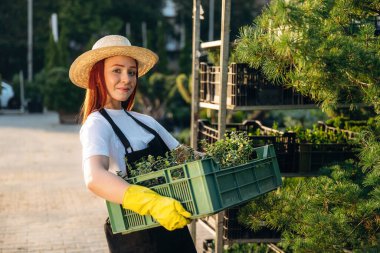Güneş ışığının altında, bitkileri tutarken. Genç kızıl saçlı kadın bahçeyle ilgileniyor..