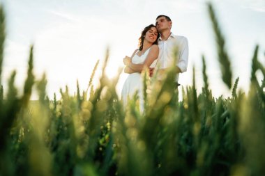 Yüksek buğday. Çiftler tarlada beraberler..