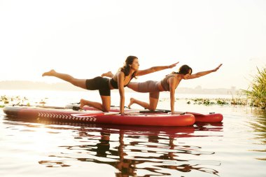 Yoga egzersizi yapıyorum, Asana. Kadın arkadaşlar gölde birlikte yemek yiyorlar..