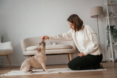 Eğitim süreci, ikramlar. Genç kadın köpeğiyle evde..