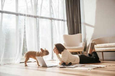 Gün ışığında. Dizüstü bilgisayarla yerde yatıyor. Evcil hayvana bakıyorum. Genç kadın köpeğiyle evde..