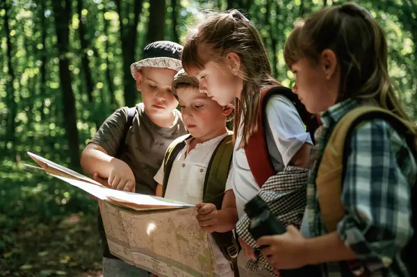 Kağıt harita ellerinde. Çocuklar yazın gündüz vakti ormanda..