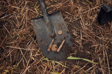 Kürekte madeni paralar ve mermiler var, metal detektör avı kavramı, arkeoloji.