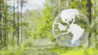 4k 3D Trasparent Earth, arka planda orman. Bu görüntünün elementleri NASA tarafından desteklenmektedir