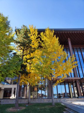 Sunrise Kempinski 'nin yanı sıra Pekin' in altın sonbaharını görmek için güzel bir yer olan Yanqi Oteli..