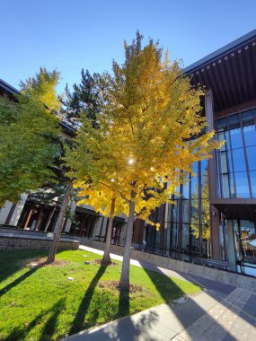 Sunrise Kempinski 'nin yanı sıra Pekin' in altın sonbaharını görmek için güzel bir yer olan Yanqi Oteli..