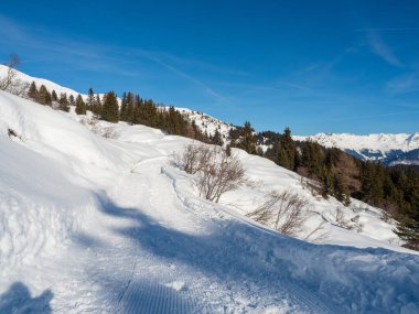 Tyrol 'daki kayak merkezindeki Ladis, Fiss ve Serfaus tatil beldesinde kışın ormanda yürüyüş rotası. Avusturya Ocak 2018.