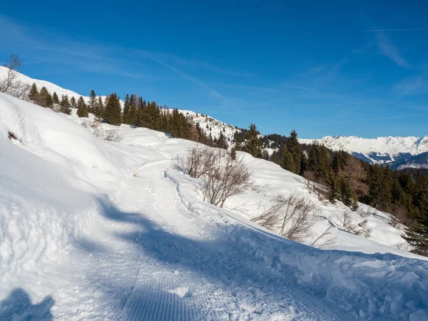 Ruta Pie Bosque Invierno Estación Ladis Fiss Serfaus Estación Esquí — Foto de Stock
