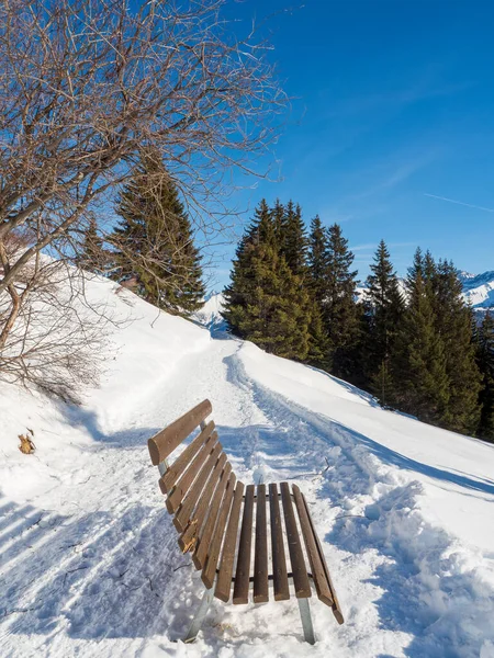 파노라마는 겨울에 티롤의 스키장에서 리조트 레이디스 우스에서 나무로 벤치를 수있다 — 스톡 사진