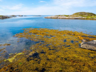 Norveç 'te yaz aylarında Atlantik yolu. 