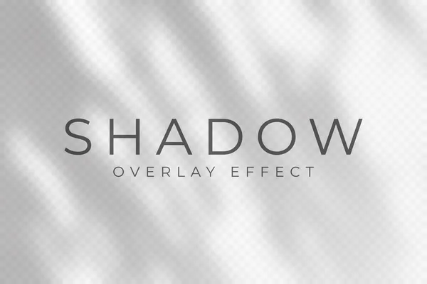 Schatten Overlay Effekt Transparentes Weiches Licht Und Schatten Von Zweigen — Stockvektor