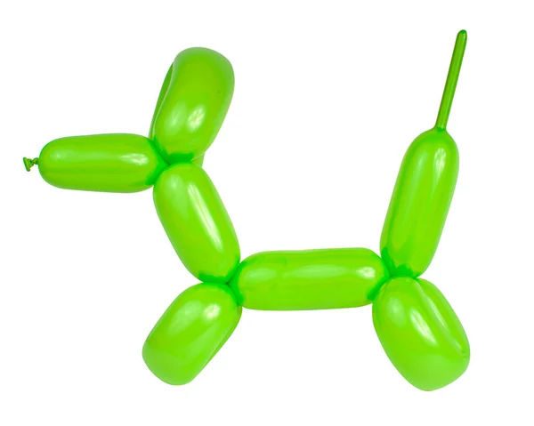 Modell Ballong Hund Hantverk Part Dekorativ Isolerad Den Vita Bakgrunden — Stockfoto