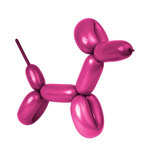 Ljus Ballong Hund Leksak Isolerad Den Vita Bakgrunden — Stockfoto