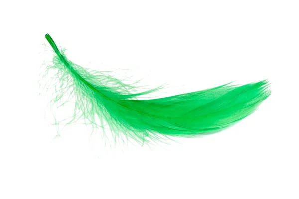 Elegant Colorful Feather Isolated White Background — Stock Photo, Image