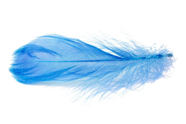 Elegante Pluma Esponjosa Azul Aislada Sobre Fondo Blanco — Foto de Stock