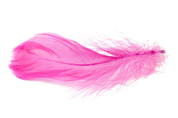 Elegant Pink Fluffy Feather Isolated White Background — Stock Photo, Image