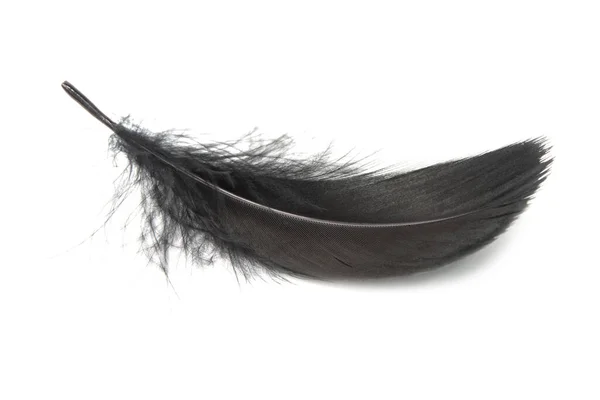 毛茸茸的黑色羽毛隔离在白色背景特写上 — 图库照片