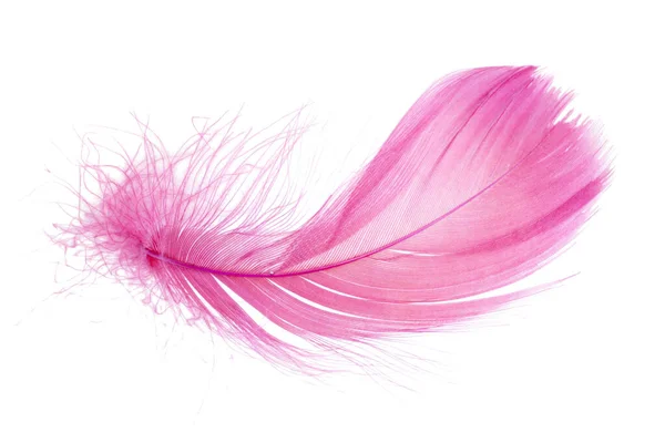 淡淡的蓬松粉红羽毛 白色背景隔离 — 图库照片