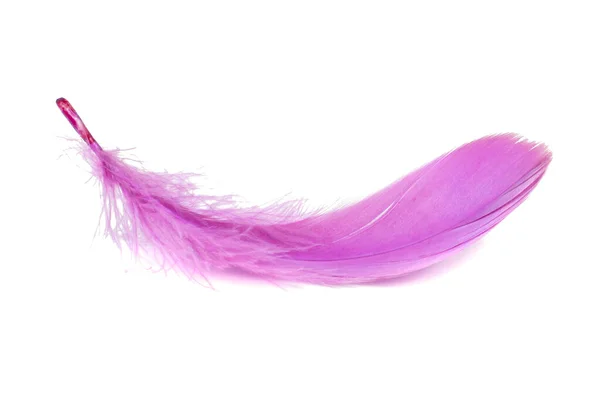 Light Fluffy Pink Feather Isolated White Background — Stock Photo, Image
