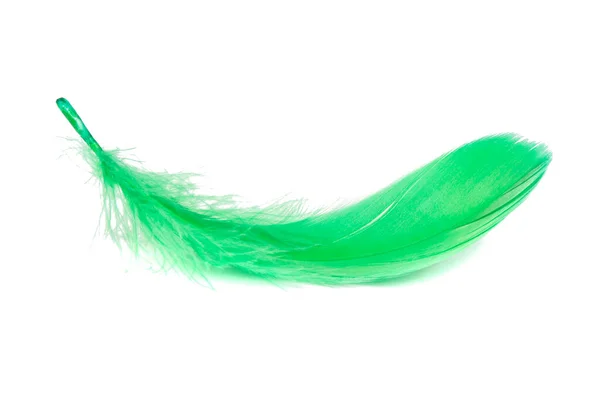 Light Fluffy Green Feather Isolated White Background — Stock Photo, Image
