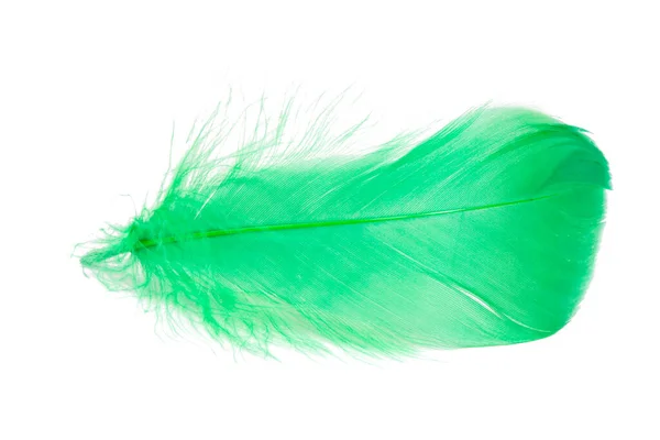 Light Fluffy Green Feather Isolated White Background — Stock Photo, Image