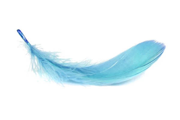Light Fluffy Blue Feather Isolated White Background — Stock Photo, Image
