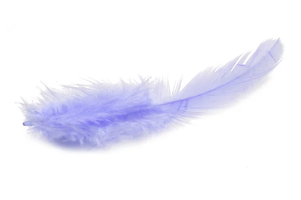 白で隔離された青いふわふわの羽 — ストック写真