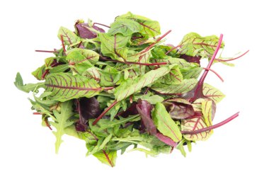 Yapraklar marulu karıştırır. Üst Manzara. Bitkisel hayat. Sağlıklı beslenme. Beyaz arkaplanda izole.