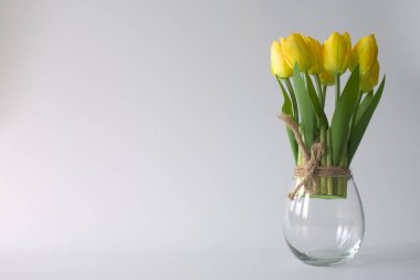 Beyaz arka planda cam bir kavanozda yapay laleler çiçek açıyor..