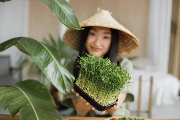 Young attractive asian woman in traditional conical hat sitting at table in stylish light tropical kitchen holding microgreen sprouts to make healthy vegetable salad.