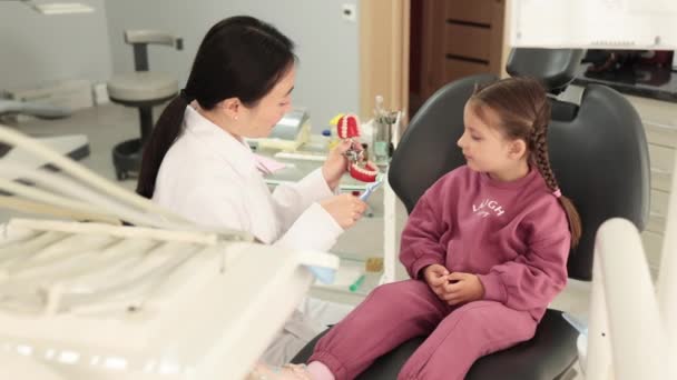 坐在牙科诊所边看刷子边笑着快乐的小女孩 而年轻的女牙医则展示了如何在人造下巴模型上刷牙 — 图库视频影像