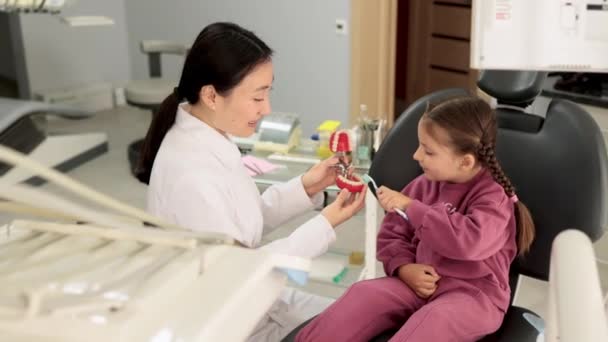 Feliz Sorrindo Asiático Dentista Feminino Diz Menina Como Escovar Dentes — Vídeo de Stock