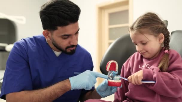 幸せな自信を持った男性歯科医は 人工顎モデルで歯を磨く方法を小さな子供の女の子に伝えます 介護予防 小児科 乳歯衛生の概念 — ストック動画