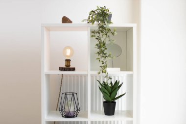 Eski tarz masa lambası olan beyaz ahşap kitaplık, gösterişli ayna, sütun mumlu dekoratif metal tutucu ve arka planında radyatör olan kapalı bitkiler. Ev içi tasarlanmış oda köşesi..