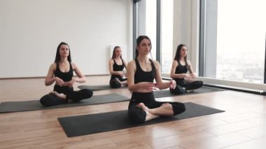 Bir grup siyah spor giysili çekici kadın stüdyoda nilüfer çiçekli paspaslarda poz veriyorlar. Padmasana yoga zihni sakinleştiriyor ve uygulayıcıları derin meditasyona hazırlıyor..