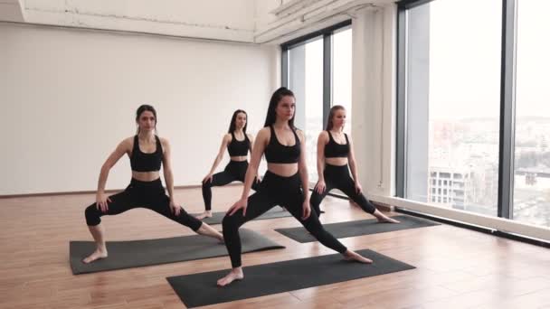 운동복을 선수들 스튜디오에서 연습을 효율적 근육을 매력적 여자들은 집안에서 감정적 — 비디오