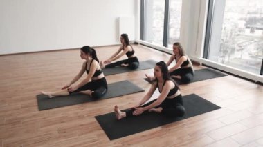 Bir grup siyah aktif giysili sporcu stüdyoda Head to Knee Poose 'da lastik paspasların üzerinde oturuyorlar. Yoga seansı sırasında endişe ve yorgunluğu azaltmak için Janu Sirsasana egzersizi yapan güzel, fit kadınlar..