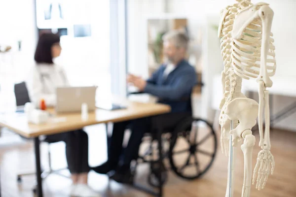 stock image Focus on skeleton model on stand being placed in doctors office while young physician providing check-up of patient. Orthopedist diagnosing medical condition of male wheelchair user in hospital.