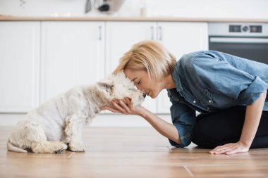 Neşeli beyaz kadın, bacaklarını gövdesinin altına dayamış mutfak arka planındaki sevimli köpeklere doğru eğiliyor. Kot gömlekli neşeli bir yetişkin içeride antrenman yaparken kürklü arkadaşıyla eğleniyor..