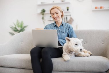 Kot gömlekli beyaz kadın dizüstü bilgisayarda video izlerken beyaz tüylü hayvan kanepede dinleniyor. Güzel sarışın kadın, hafta sonu köpek arkadaşıyla film izlemenin keyfini çıkarıyor..