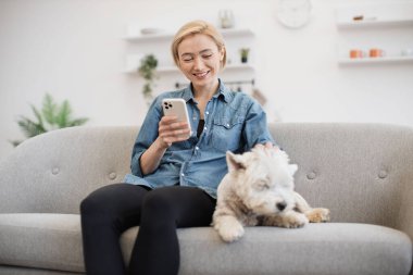 Kot tişörtlü mutlu kadın cep telefonu kullanırken evdeki koltukta yavaşça beyaz teriyeri okşuyor. Keyifli köpek bakıcısı, keyifli bir köpek spa gününden sonra modern aletle mesaj yolluyor..