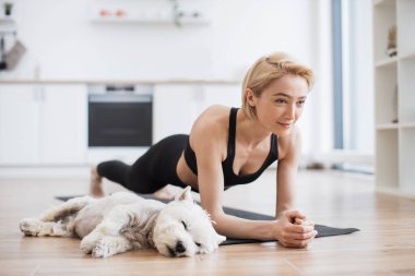 Siyah aktivite kıyafetleri içinde huzurlu sarışın kadın yoga yaparken Westie mutfakta yerde dinleniyor. Evde evcil hayvanla yoga seansı sırasında kolunun ön kısmını tutan atletik yogini..