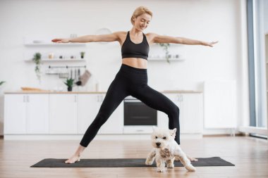 Güzel bayan ve tapılası köpeğin tam boy görüntüsü. İkisi de Warrior II Poz 'da mutfak içinde yoga minderinin üzerinde duruyorlar. Modern köpek yogası evde hayvan ve hayvan sahibinin kalp sağlığını geliştiriyor..