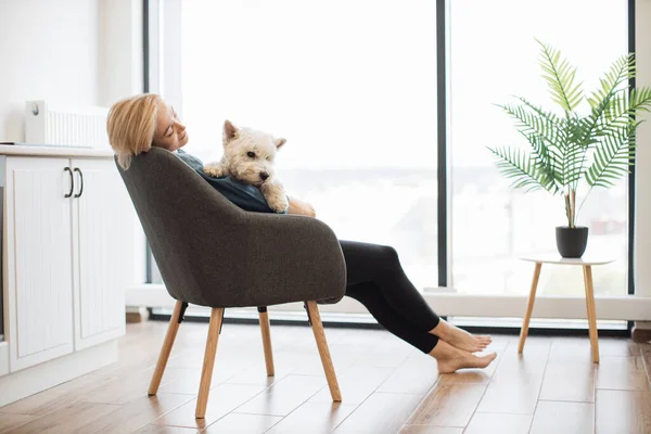 Focus on West Highland White Terrier settled comfortably in pet lovers arms in light room with picture window. Smiling blonde female hugging small animal while stopping stressing out about job.