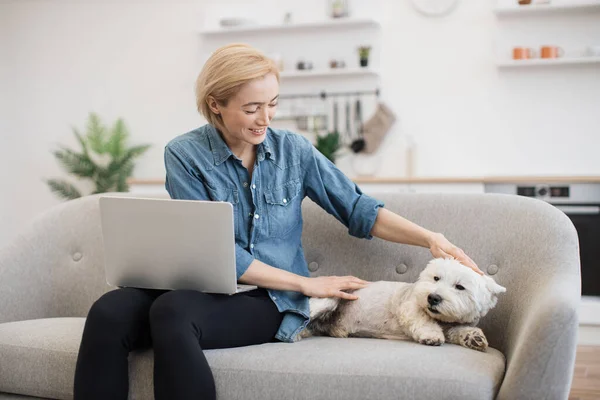stock image Beautiful blonde lady stroking furry animal while keeping laptop on knees on sofa in open-plan kitchen. Pretty young adult doing freelance work in cozy workplace while taking care of loving pet.